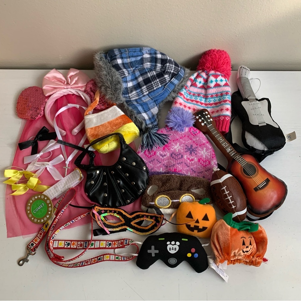 Build A Bear BABW Accessories Hat Purse Guitar Leash Collar Controller Halloween